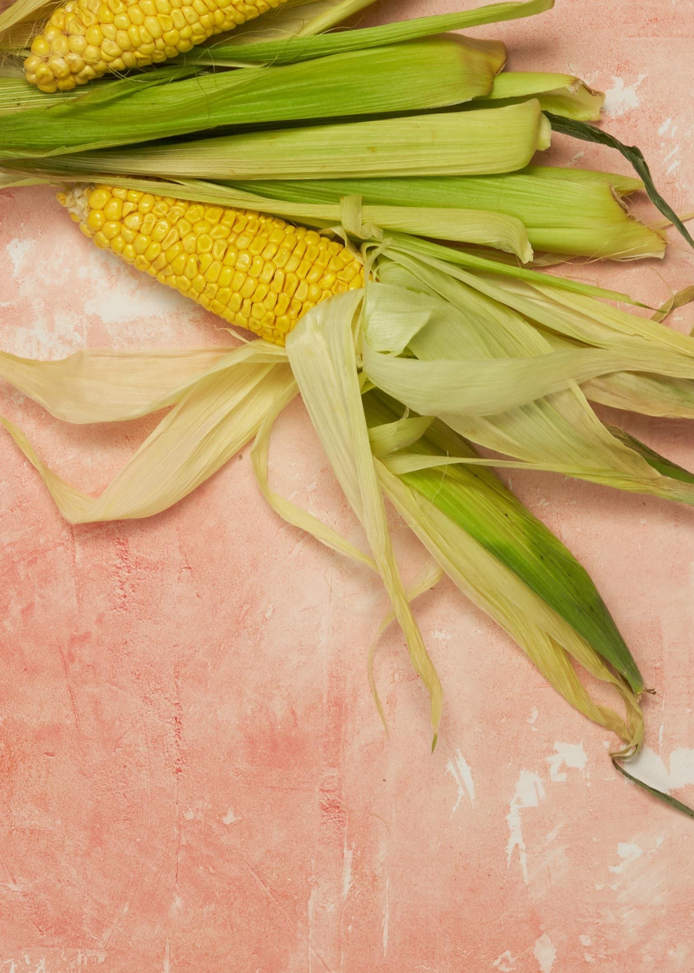 Atomic Peach Vinyl Photography Backdrop by Club Backdrops