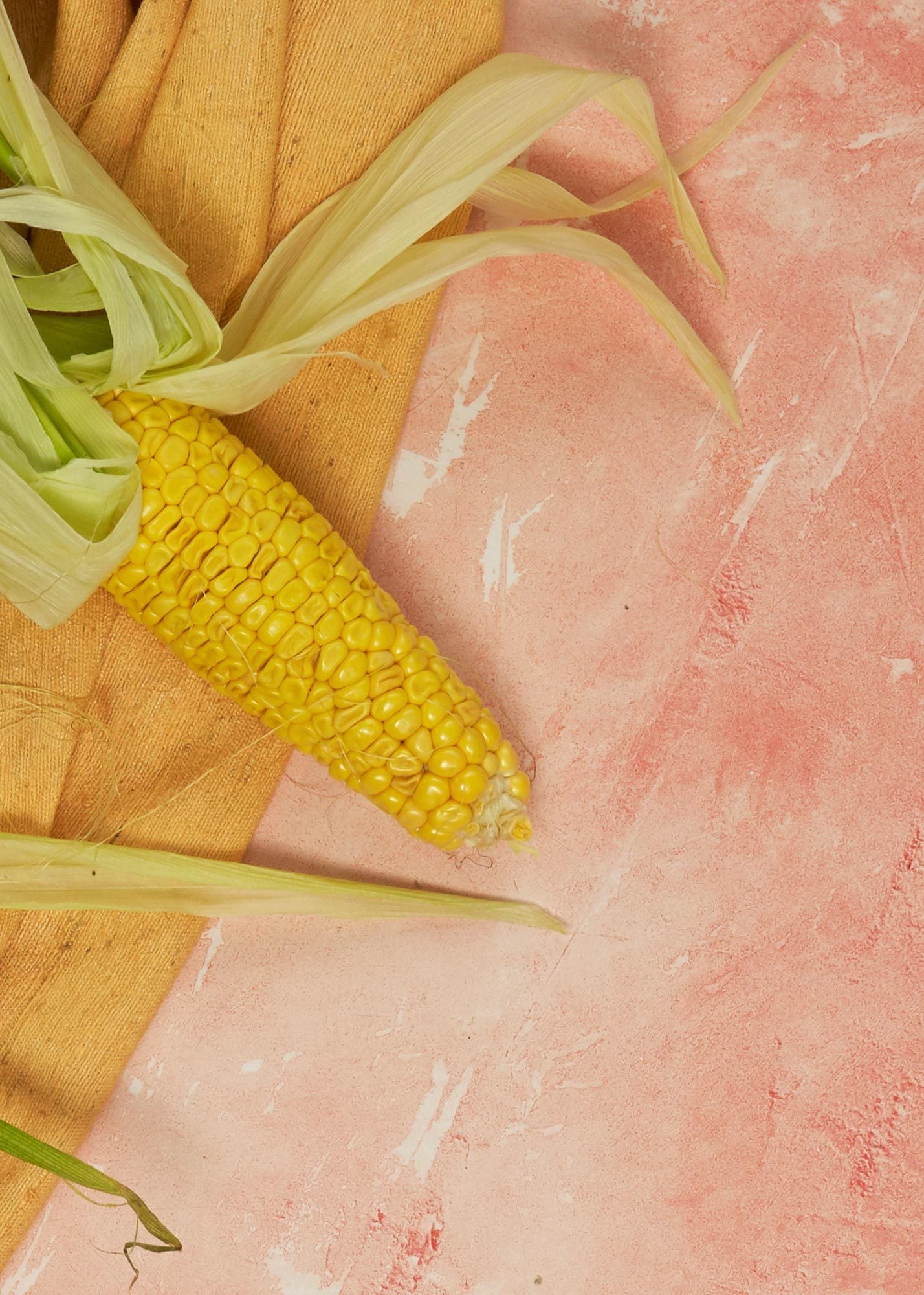 Atomic Peach Vinyl Photography Backdrop by Club Backdrops