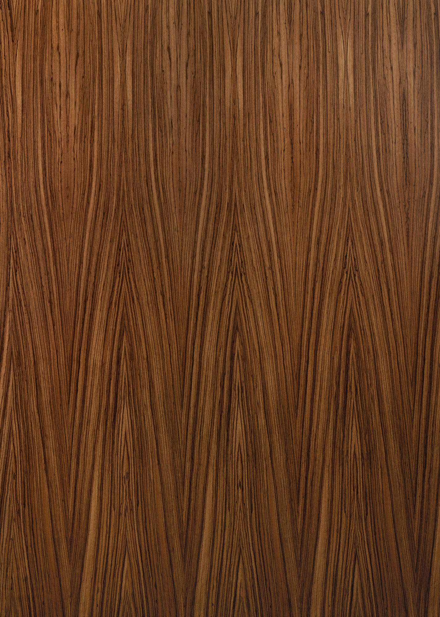 Zebra Wood Large Vinyl Photography Backdrop by Club Backdrops