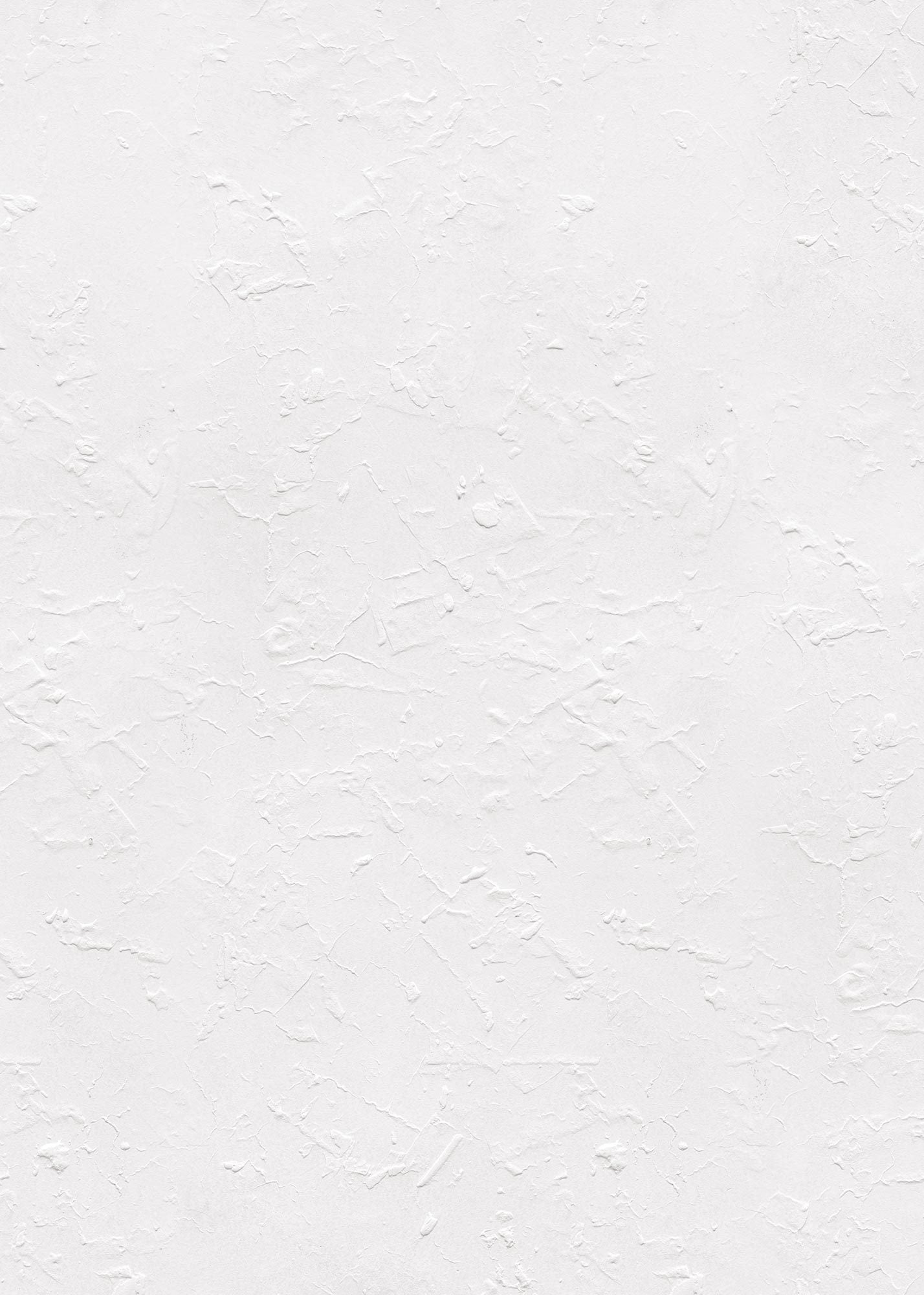 Snowflake Large Vinyl Photography Backdrop by Club Backdrops